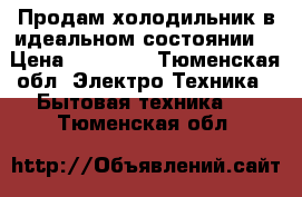 Продам холодильник в идеальном состоянии! › Цена ­ 21 000 - Тюменская обл. Электро-Техника » Бытовая техника   . Тюменская обл.